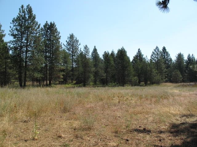 39110 North Hatch Road Deer Park, WA 99006 - Photo 16 of 20 Gallery Image 16