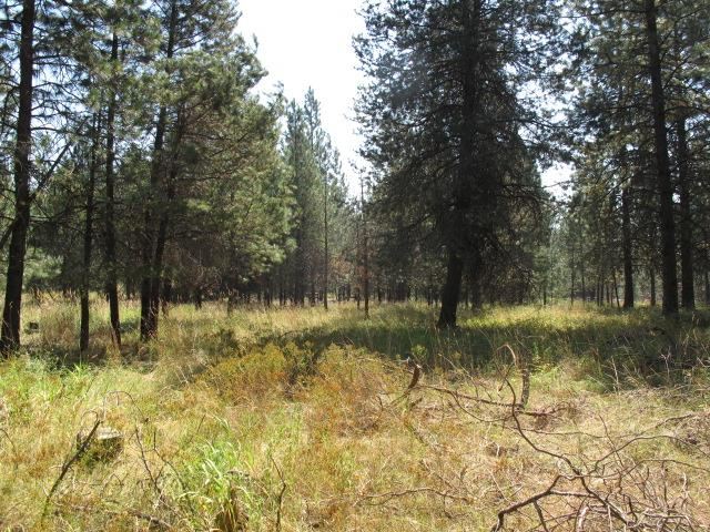 39110 North Hatch Road Deer Park, WA 99006 - Photo 17 of 20 Gallery Image 17