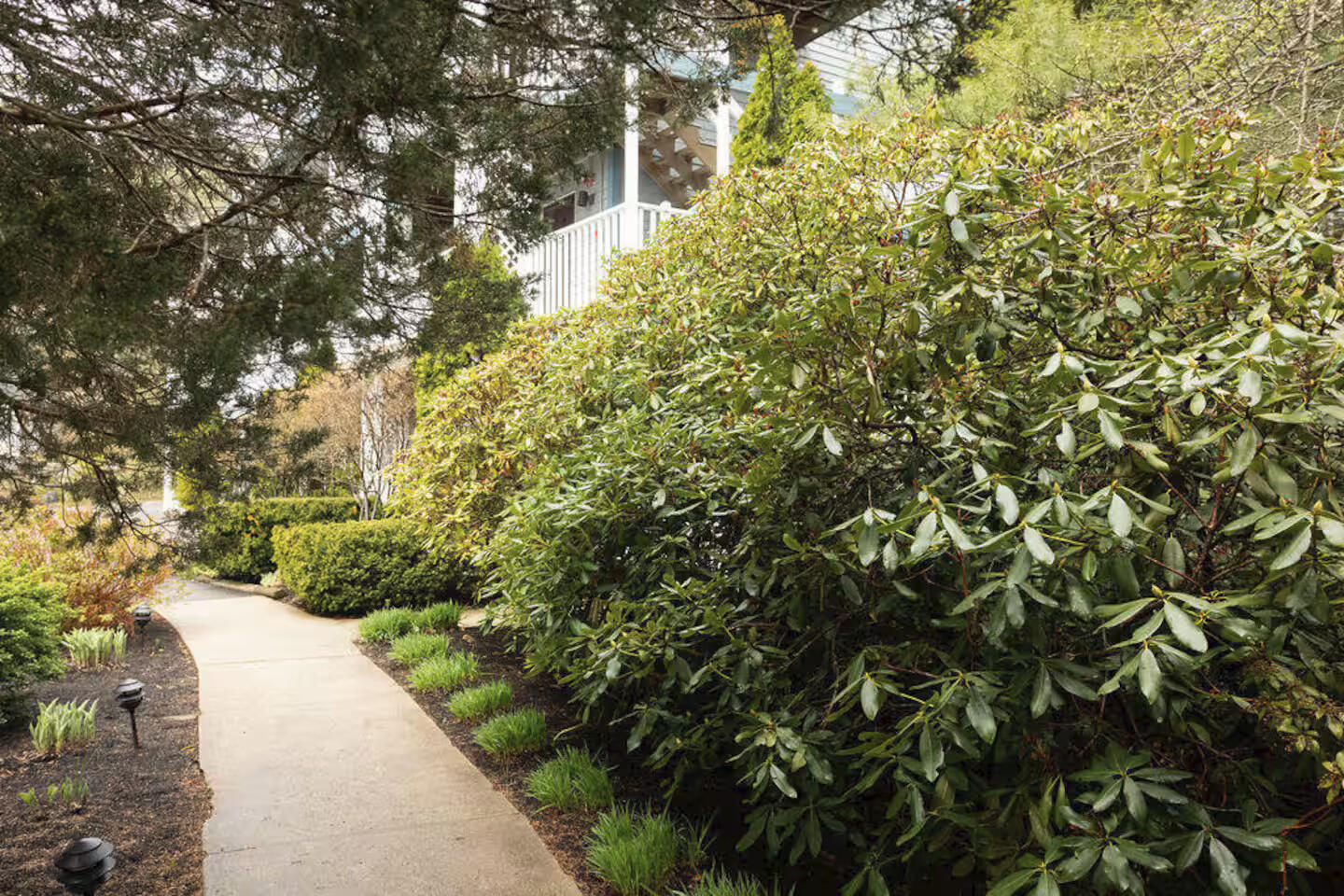 62 Pine Hill Road South, Unit 101 Ogunquit, ME 03907 - Photo 15 of 23 1bf07759-857b-4ea5-8741-851c7dc37707