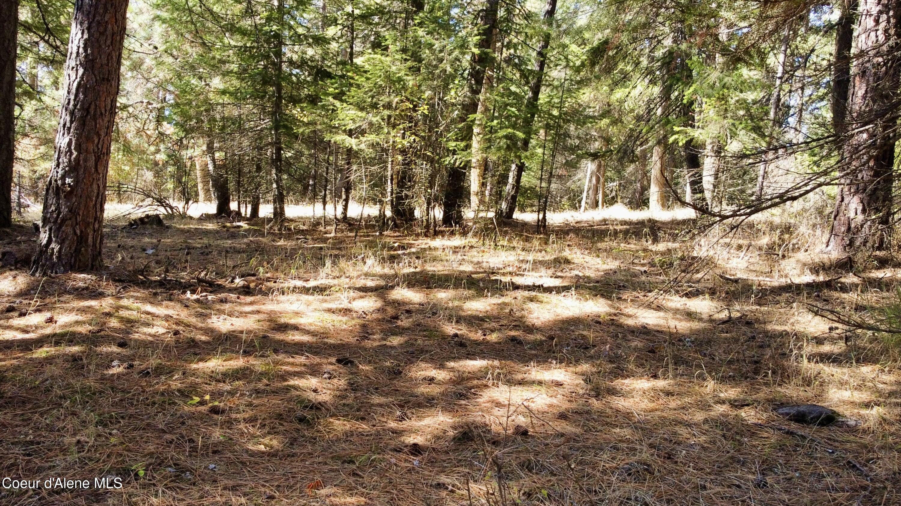 Nna Parcel South Cederbloom Road Coeur D'Alene, ID 83814 - Photo 21 of 23 21