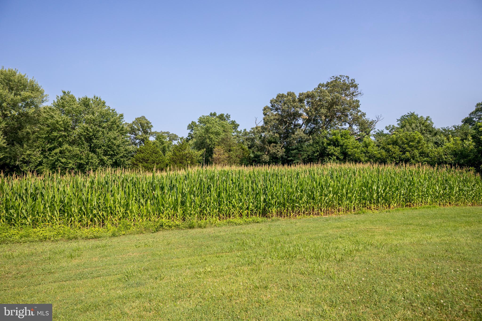 1301 Philadelphia Road Joppa, MD 21085 - Photo 8 of 17 1 acre lot