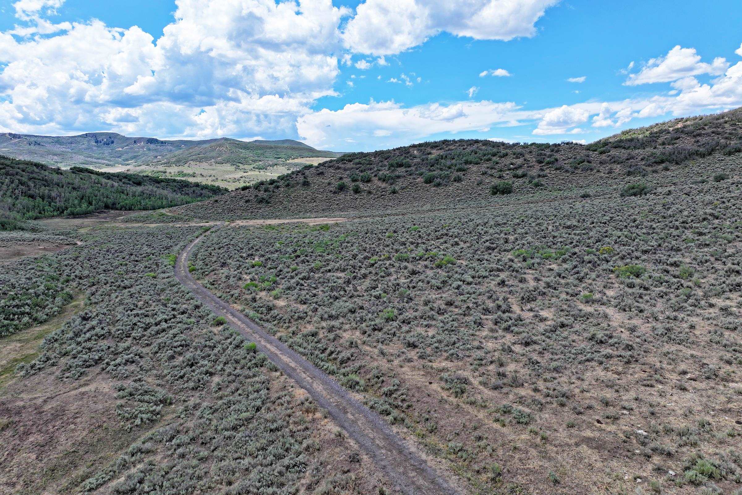 Tbd Harrison Creek Road Collbran, CO 81624 - Photo 30 of 40 Gallery Image 30