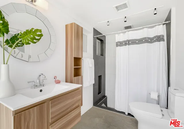 a bathroom with a sink a mirror and a potted plant