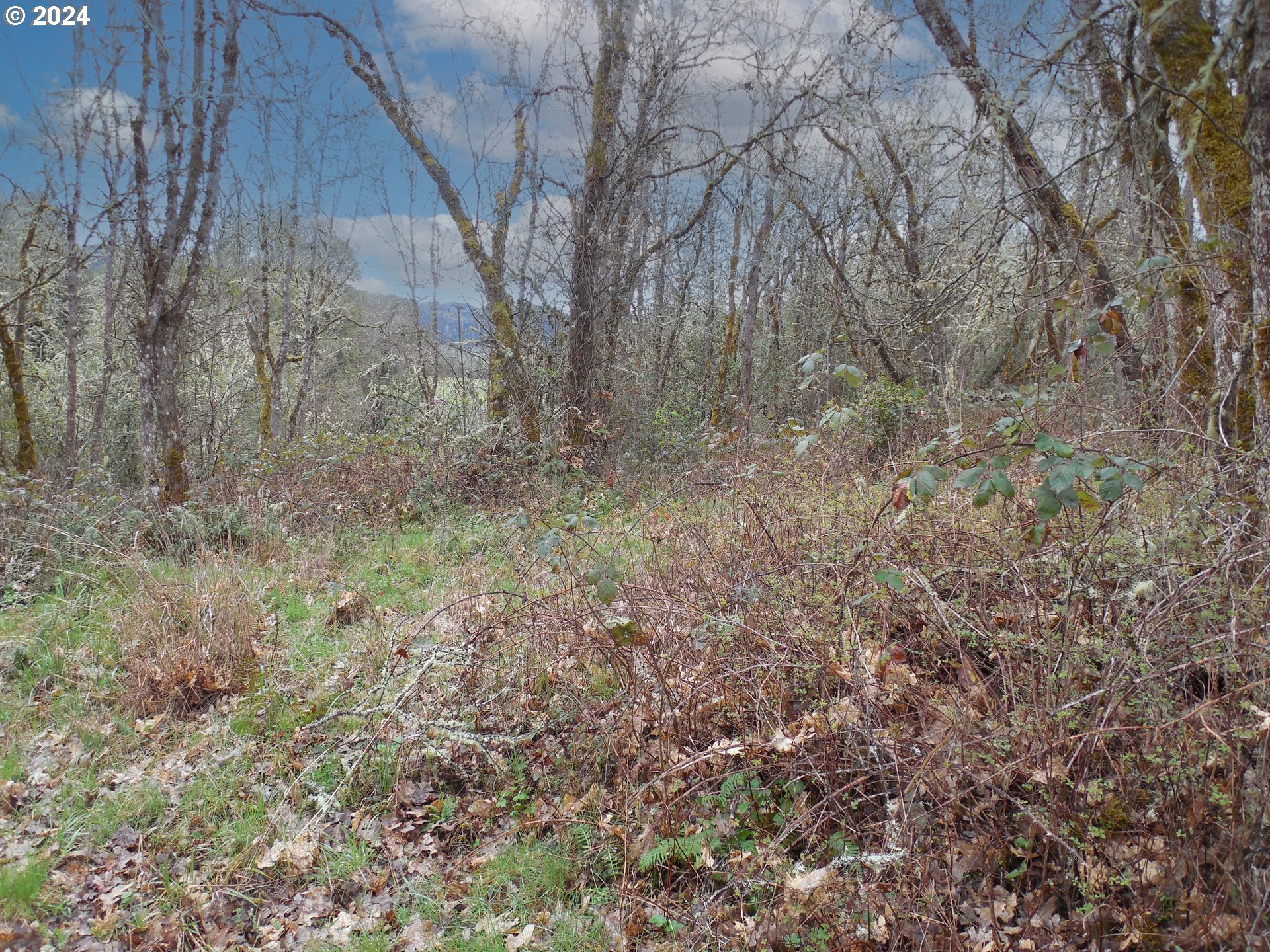 767 Melqua Road Roseburg, OR 97471 - Photo 12 of 26 Gallery Image 12