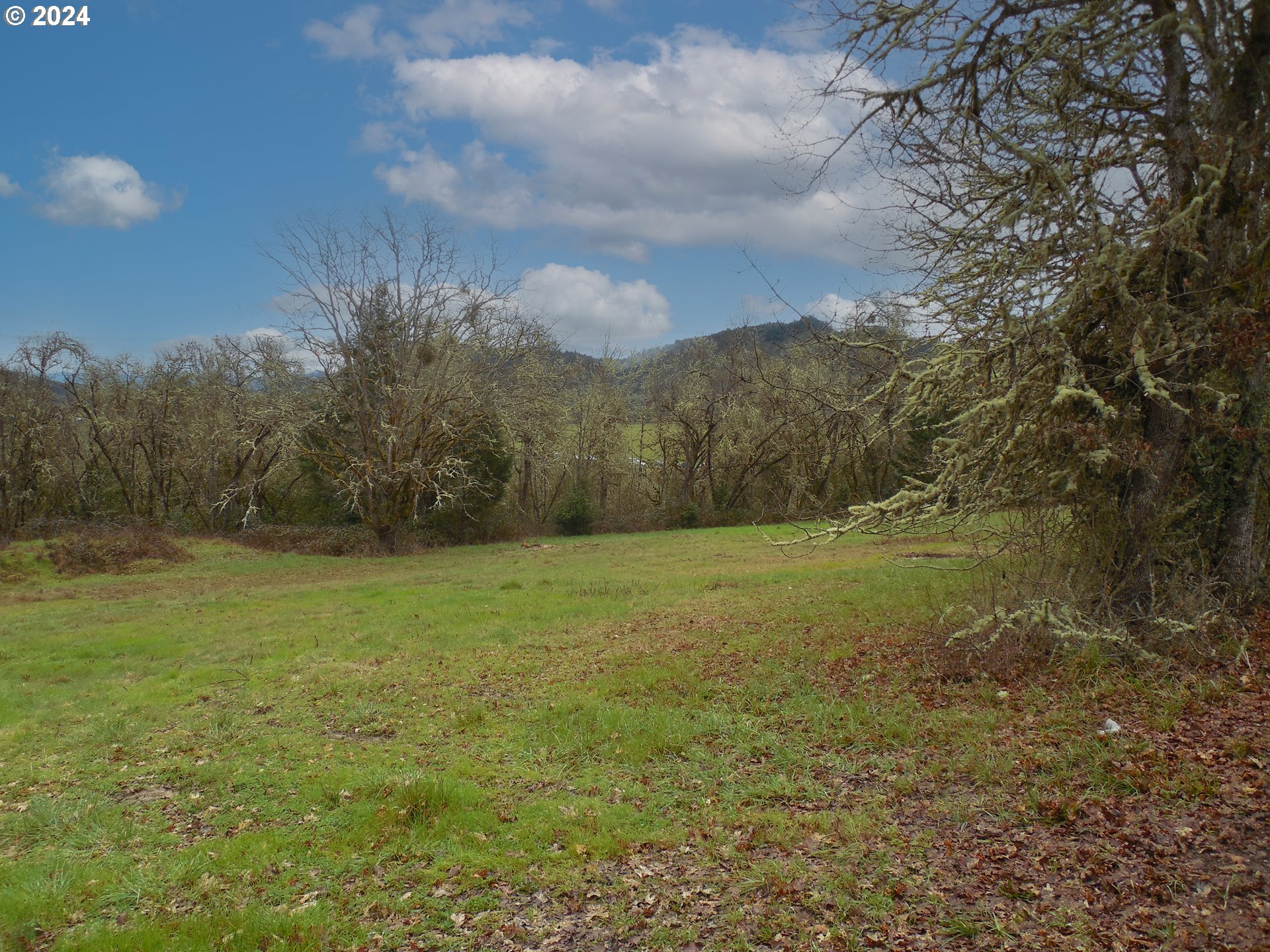 767 Melqua Road Roseburg, OR 97471 - Photo 3 of 26 Gallery Image 3