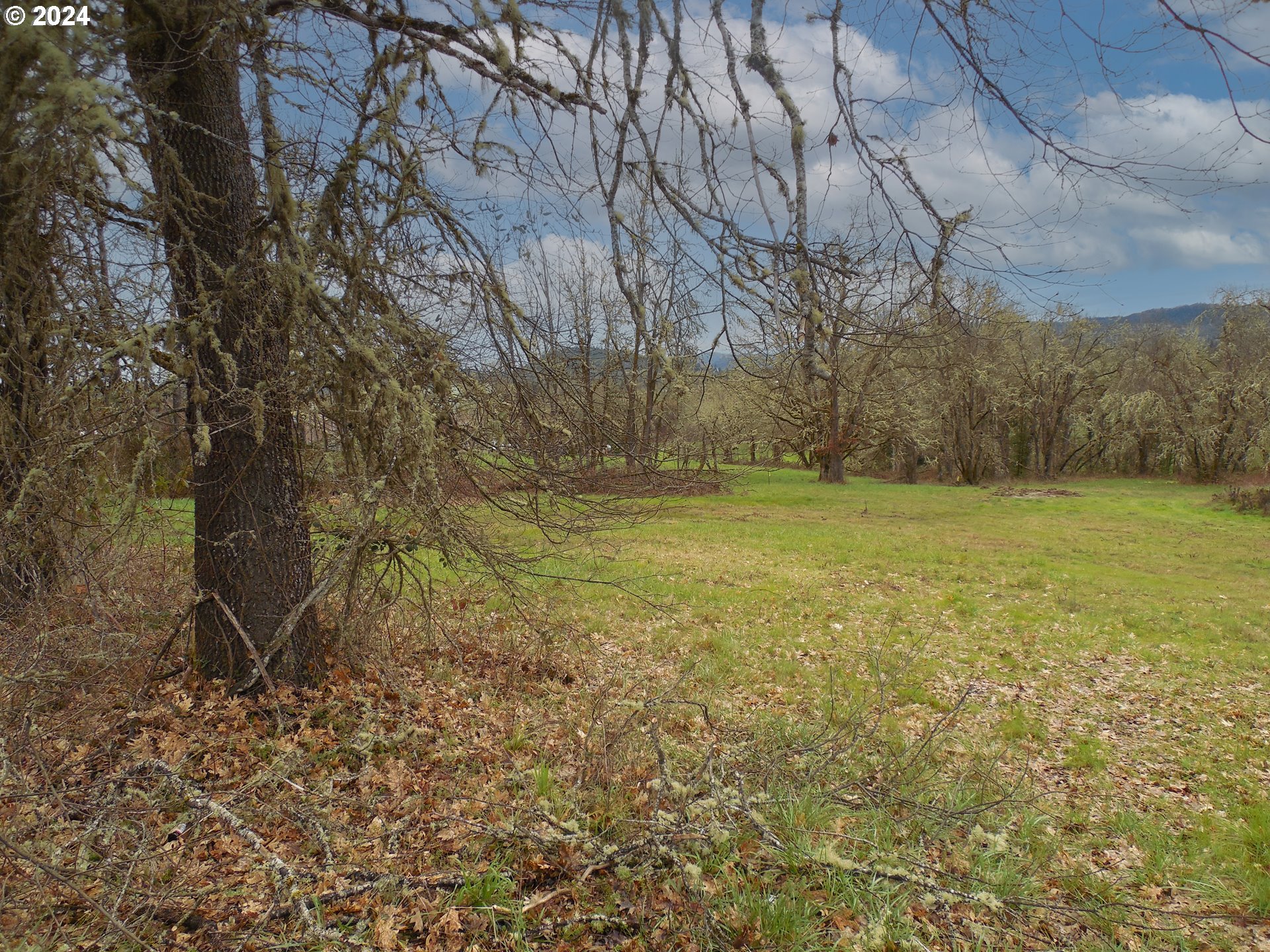 767 Melqua Road Roseburg, OR 97471 - Photo 8 of 26 Gallery Image 8