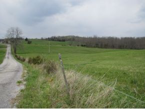 422 Tunnell Road Greeneville, TN 37743 - Photo 1 of 24 Photo 1