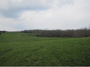 422 Tunnell Road Greeneville, TN 37743 - Photo 14 of 24 Photo 14