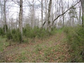 422 Tunnell Road Greeneville, TN 37743 - Photo 18 of 24 Photo 18
