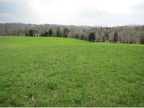 422 Tunnell Road Greeneville, TN 37743 - Photo 23 of 24 Photo 23