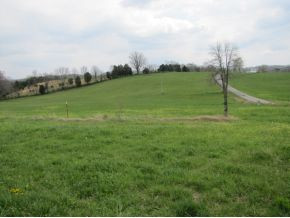 422 Tunnell Road Greeneville, TN 37743 - Photo 4 of 24 Photo 4