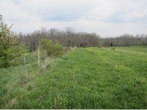 422 Tunnell Road Greeneville, TN 37743 - Photo 5 of 24 Photo 5