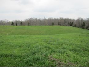 422 Tunnell Road Greeneville, TN 37743 - Photo 6 of 24 Photo 6