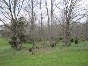 422 Tunnell Road Greeneville, TN 37743 - Photo 9 of 24 Photo 9