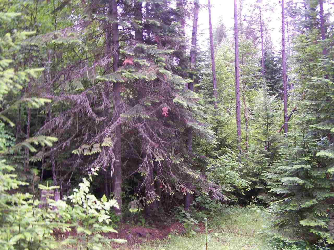 L16 Leclerc Road Cusick, WA 99119 - Photo 12 of 14