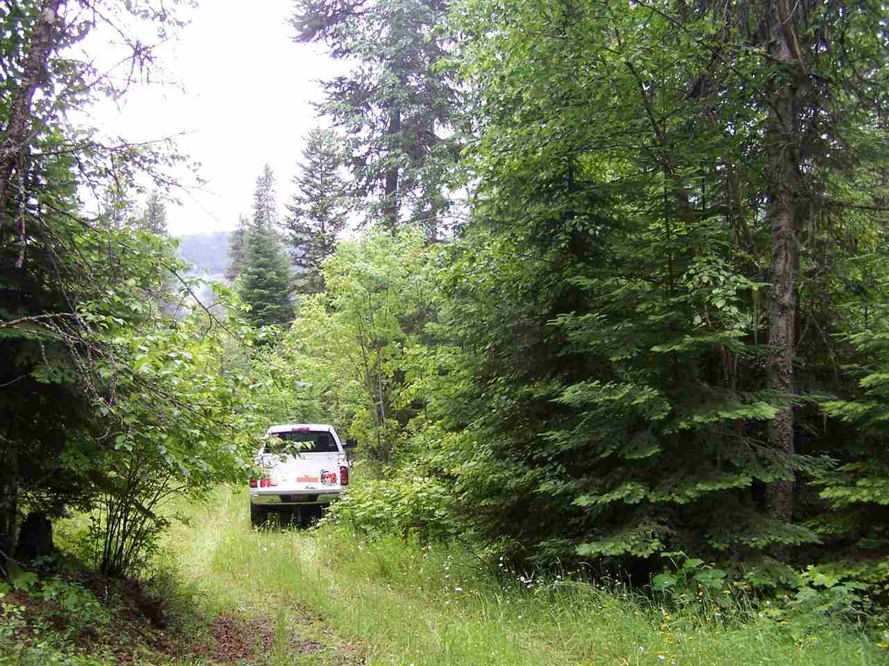 L16 Leclerc Road Cusick, WA 99119 - Photo 8 of 14