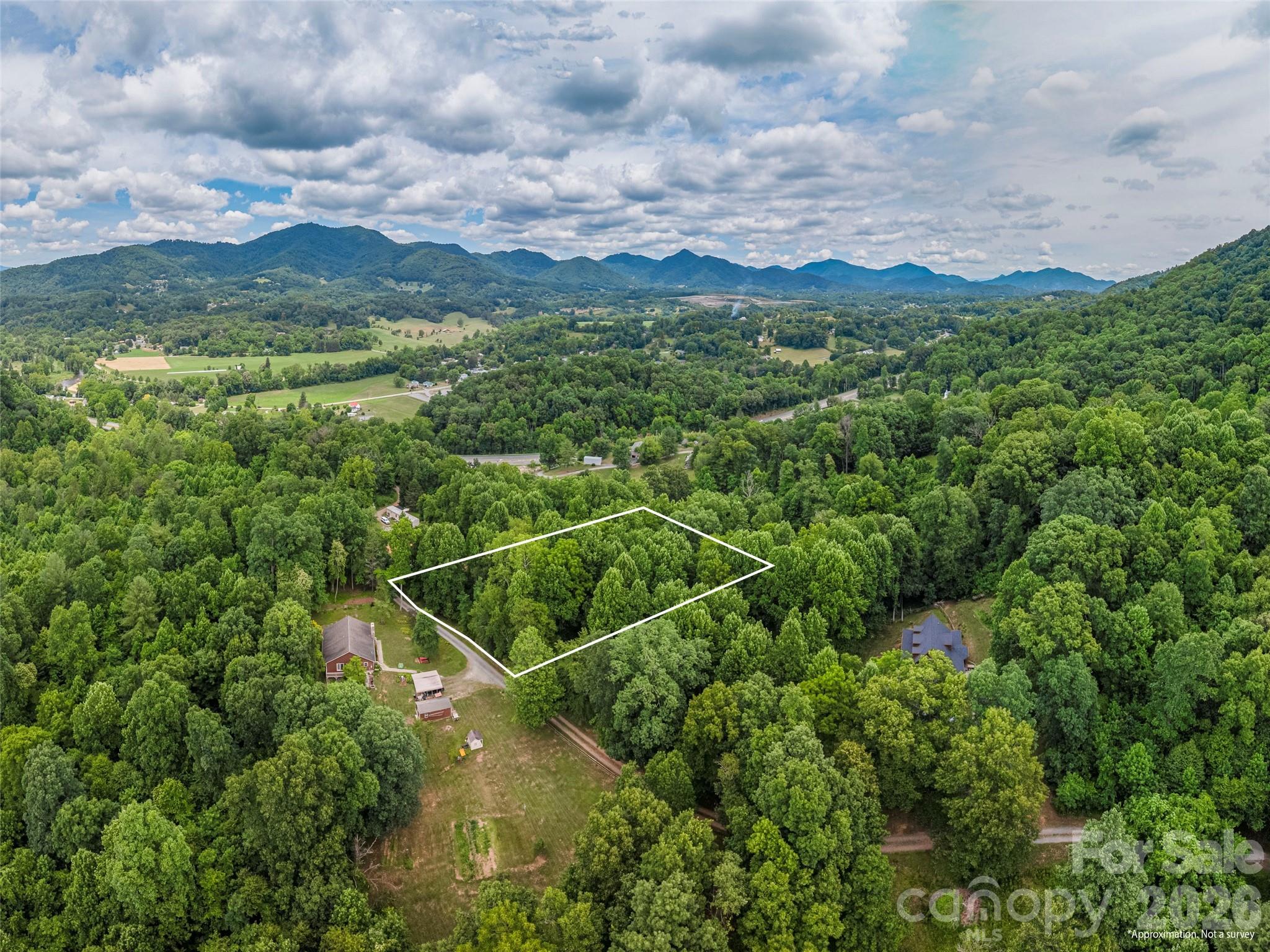 241 Clyde View Heights Clyde, NC 28721 - Photo 6 of 7