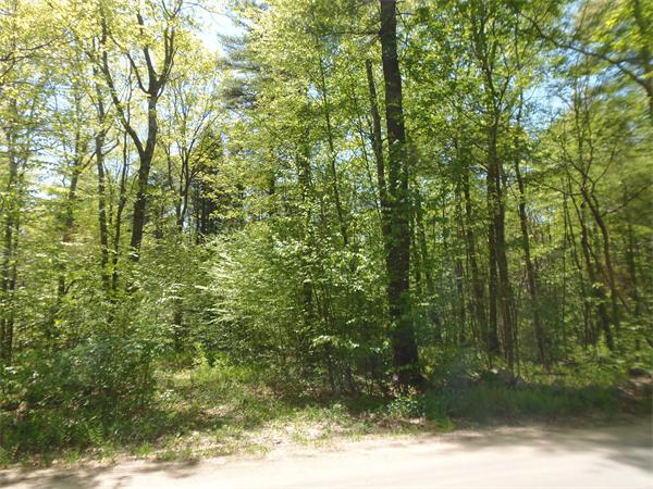137 B Packardville Road Pelham, MA 01002 - Photo 1 of 10
