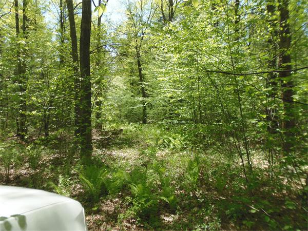 137 B Packardville Road Pelham, MA 01002 - Photo 4 of 10