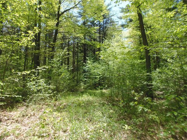 137 B Packardville Road Pelham, MA 01002 - Photo 5 of 10