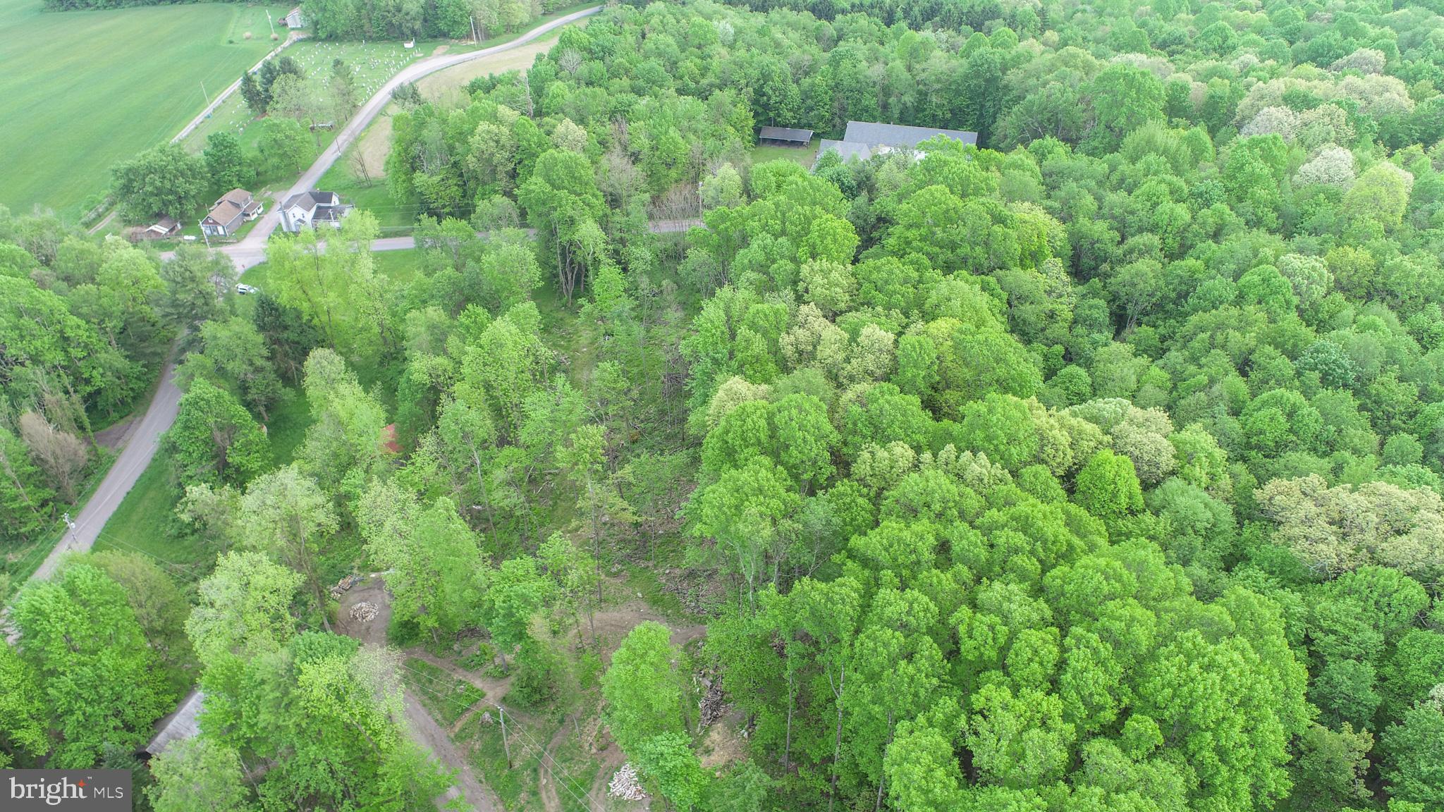 Greengables Road Friendsville, MD 21531 - Photo 16 of 18 a view of a lush green forest