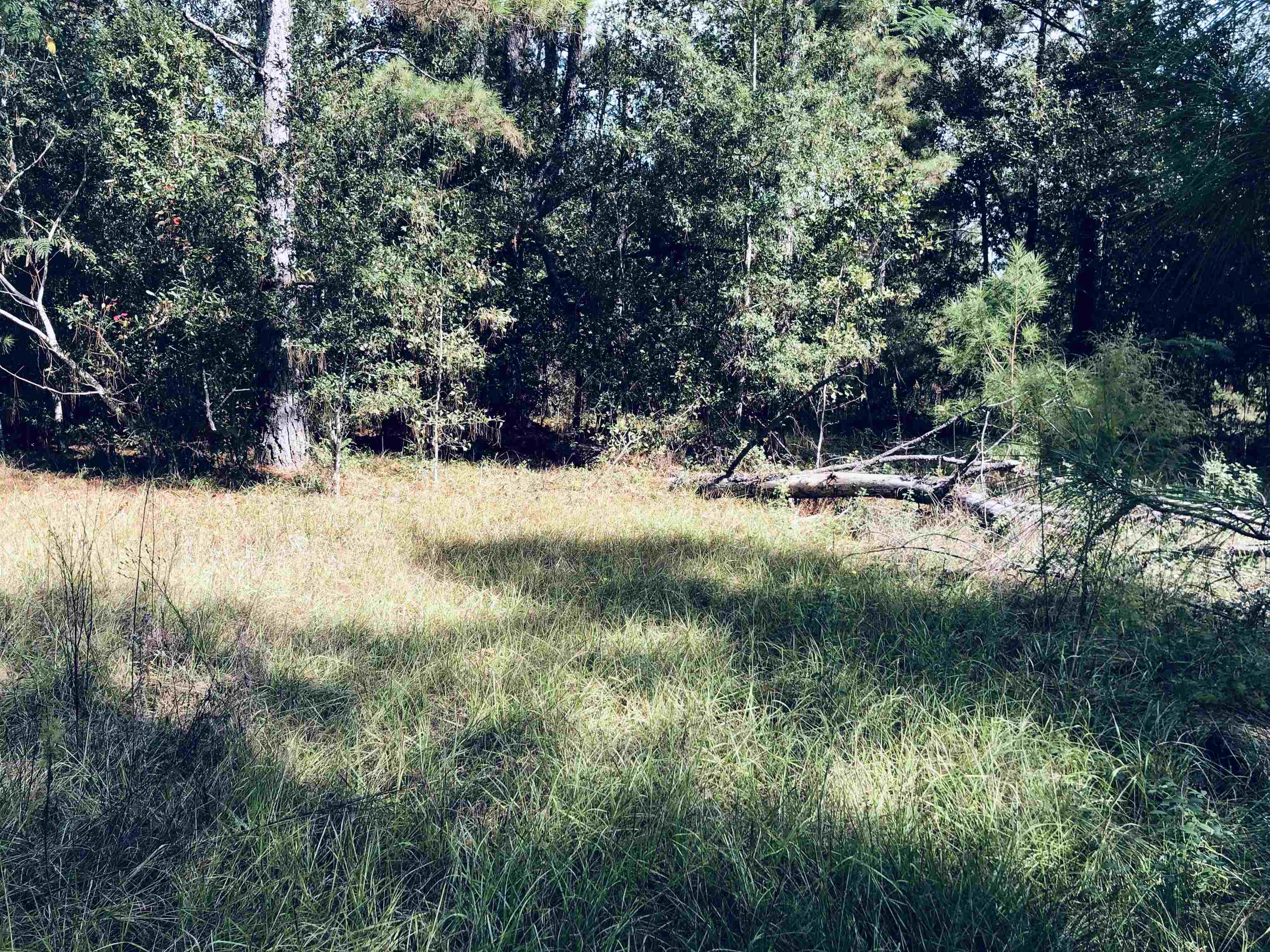 20950 Lacey Road Silverhill, AL 36576 - Photo 6 of 17