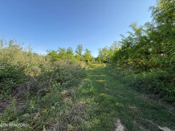 $42,900 | Racoon Lane, Unit 79, Pioneer, TN 37847