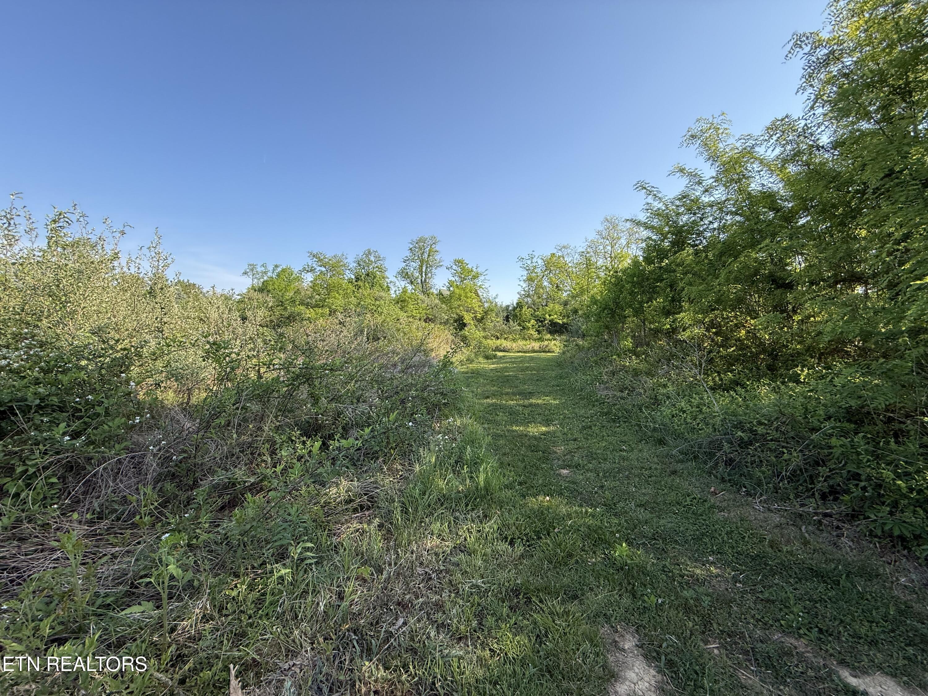Racoon Lane, Unit 79 Pioneer, TN 37847 - Photo 11 of 33 IMG_4139