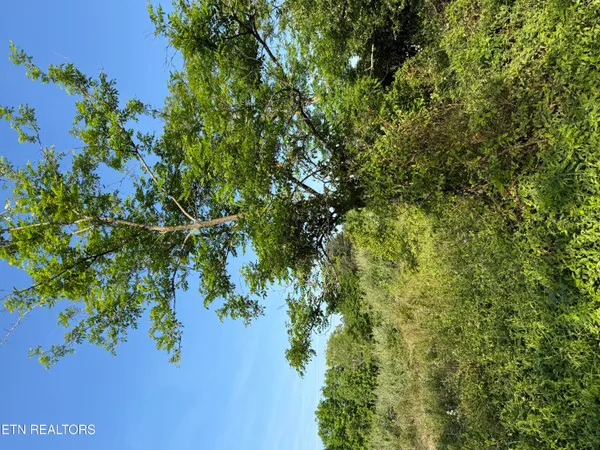 $42,900 | Racoon Lane, Unit 79, Pioneer, TN 37847