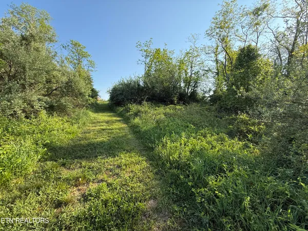 $42,900 | Racoon Lane, Unit 79, Pioneer, TN 37847