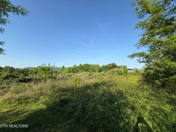 $42,900 | Racoon Lane, Unit 79, Pioneer, TN 37847