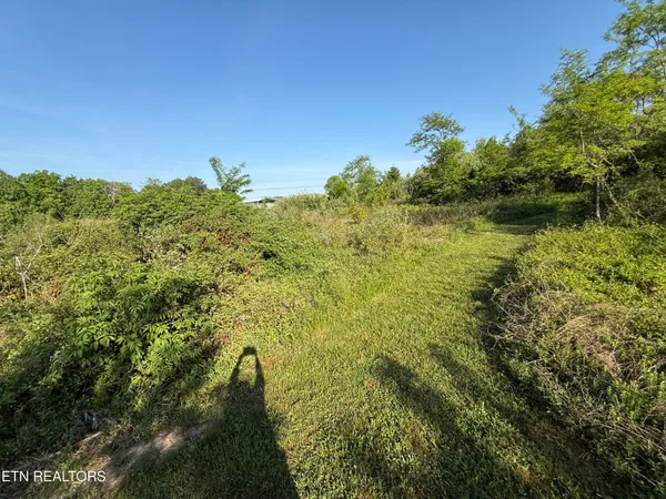 $42,900 | Racoon Lane, Unit 79, Pioneer, TN 37847