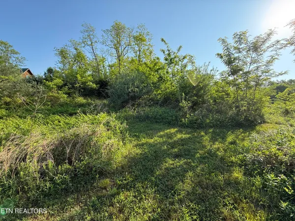 $42,900 | Racoon Lane, Unit 79, Pioneer, TN 37847