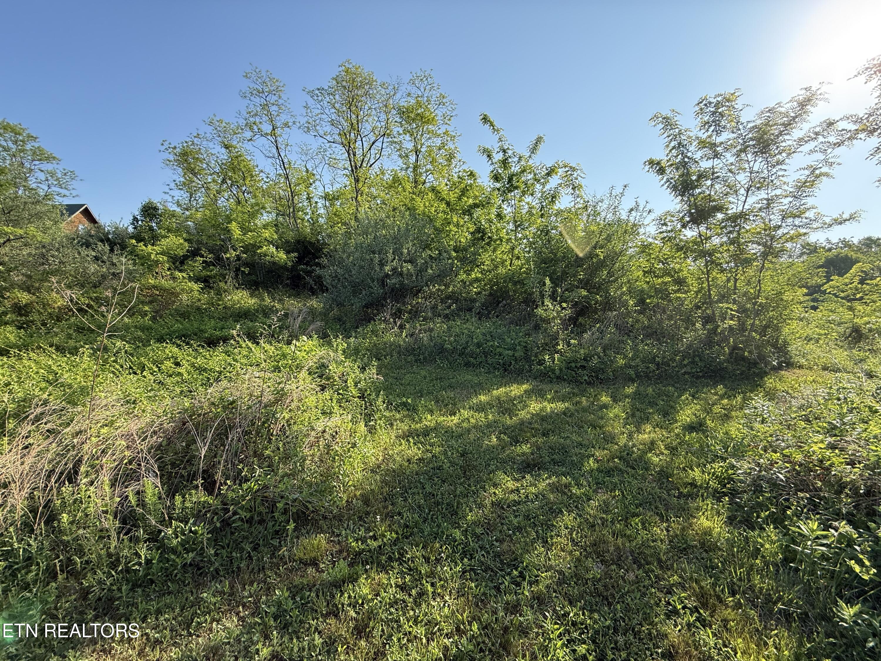 Racoon Lane, Unit 79 Pioneer, TN 37847 - Photo 20 of 33 IMG_4130