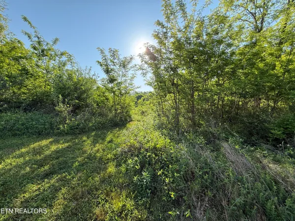 $42,900 | Racoon Lane, Unit 79, Pioneer, TN 37847