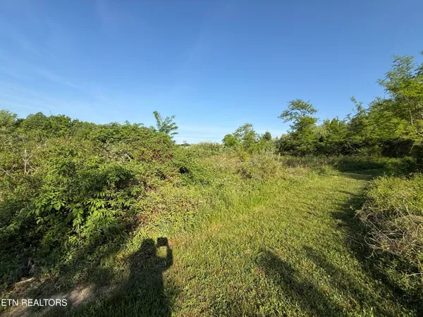 $42,900 | Racoon Lane, Unit 79, Pioneer, TN 37847