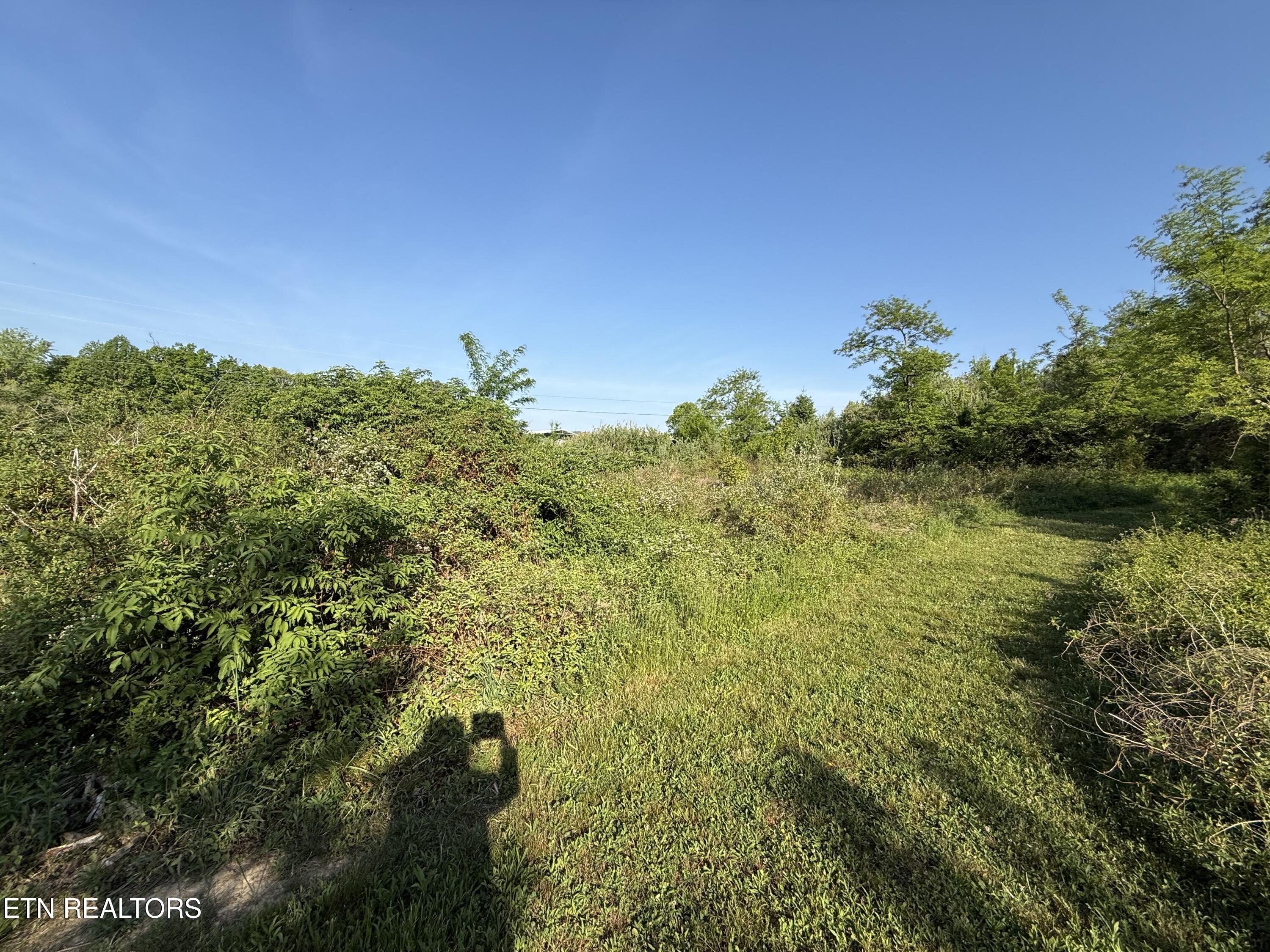 Racoon Lane, Unit 79 Pioneer, TN 37847 - Photo 23 of 33 IMG_4127