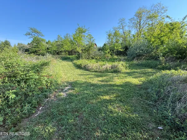 $42,900 | Racoon Lane, Unit 79, Pioneer, TN 37847
