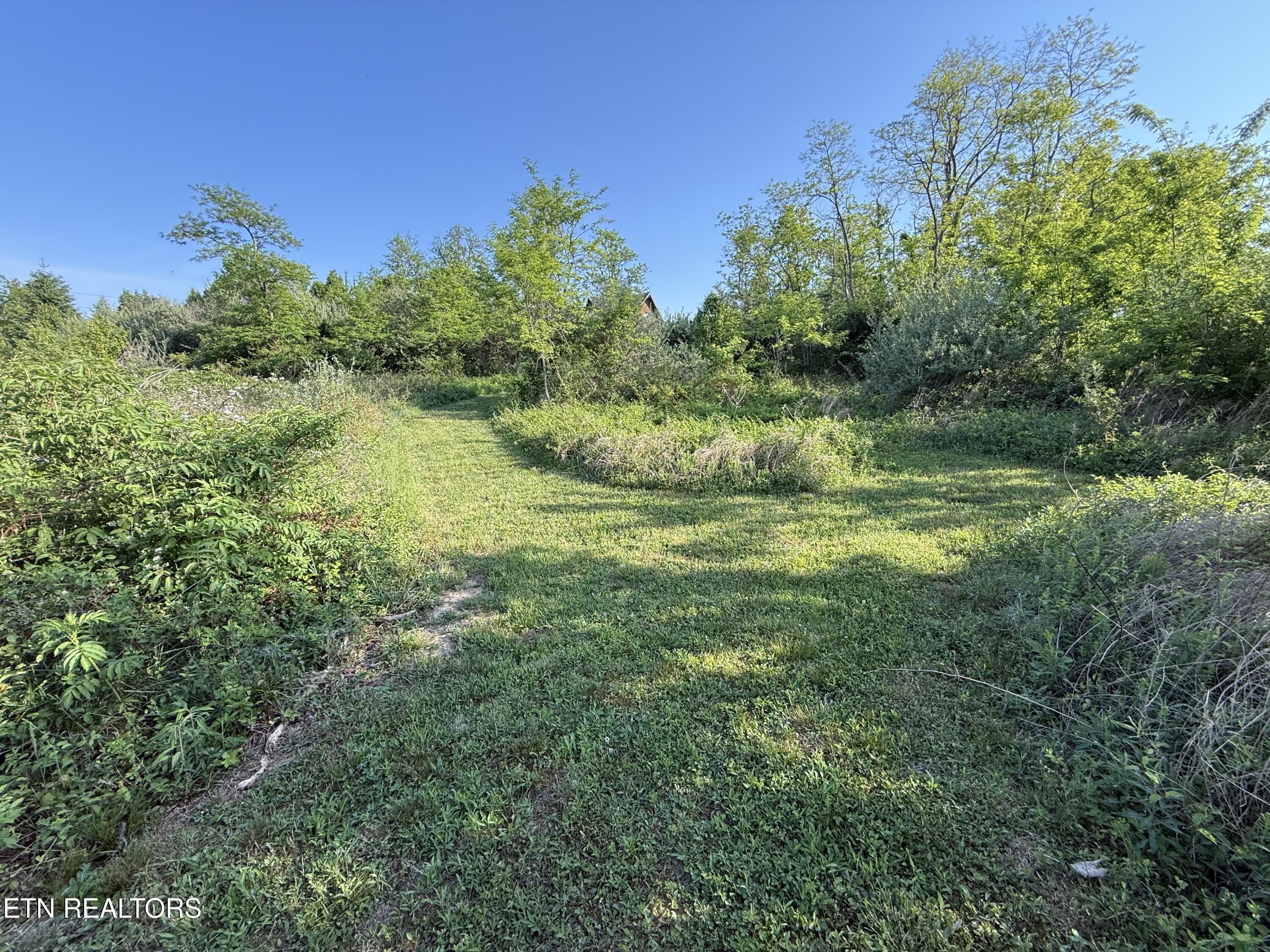 Racoon Lane, Unit 79 Pioneer, TN 37847 - Photo 24 of 33 IMG_4126