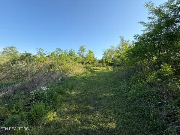 $42,900 | Racoon Lane, Unit 79, Pioneer, TN 37847