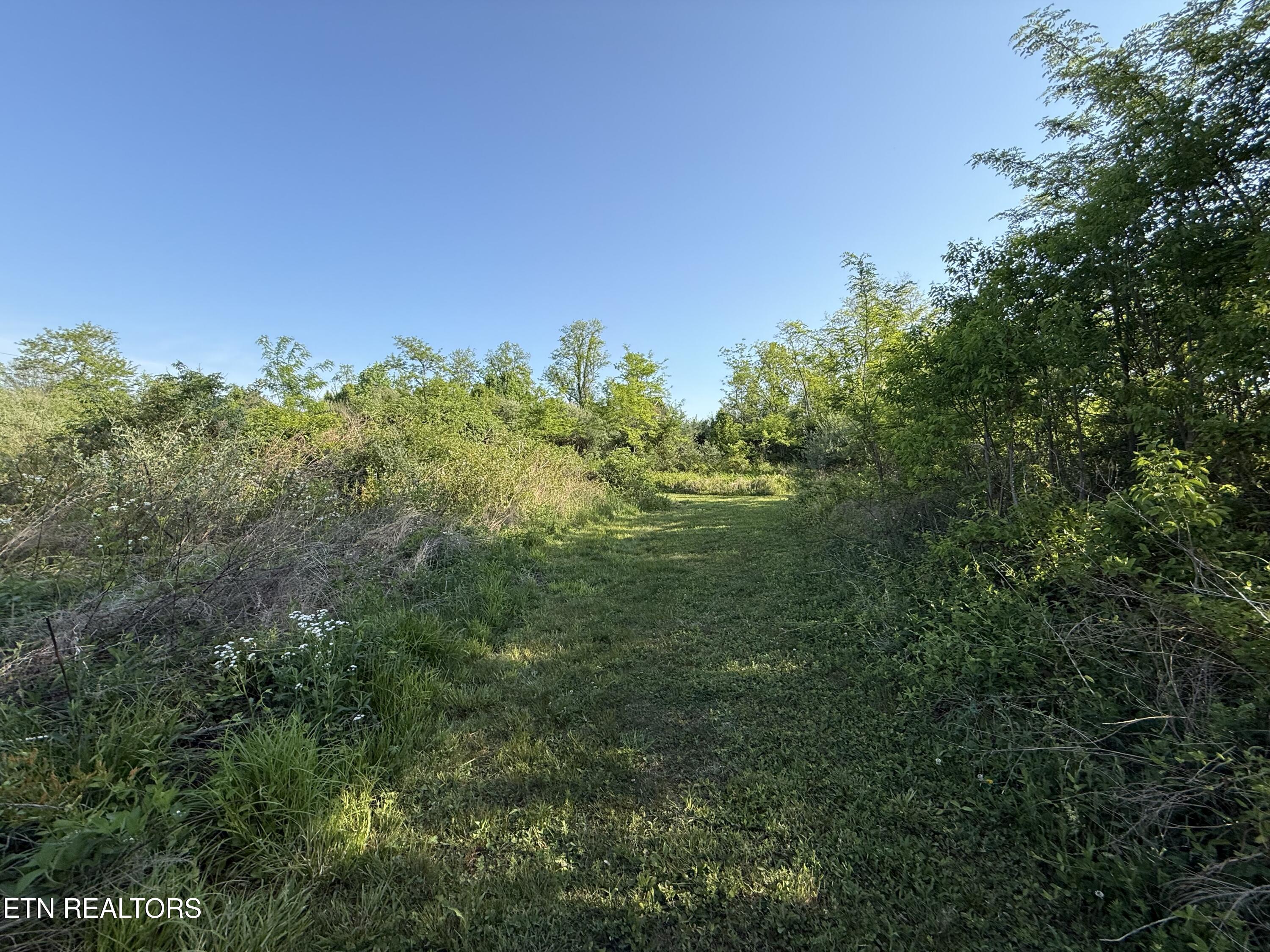 Racoon Lane, Unit 79 Pioneer, TN 37847 - Photo 25 of 33 IMG_4125