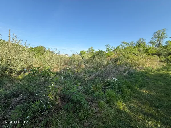 $42,900 | Racoon Lane, Unit 79, Pioneer, TN 37847