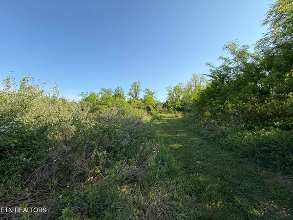 $42,900 | Racoon Lane, Unit 79, Pioneer, TN 37847