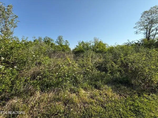 $42,900 | Racoon Lane, Unit 79, Pioneer, TN 37847