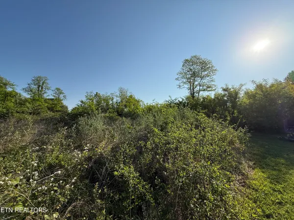 $42,900 | Racoon Lane, Unit 79, Pioneer, TN 37847
