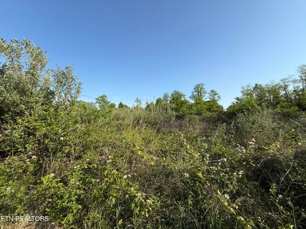 $42,900 | Racoon Lane, Unit 79, Pioneer, TN 37847