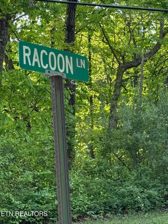 $42,900 | Racoon Lane, Unit 79, Pioneer, TN 37847
