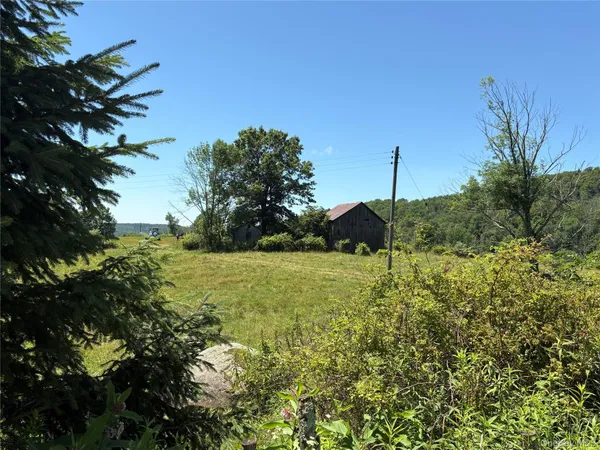 $299,999 | 14 Frelich Rd/t R 28, Fremont Center, NY 12736