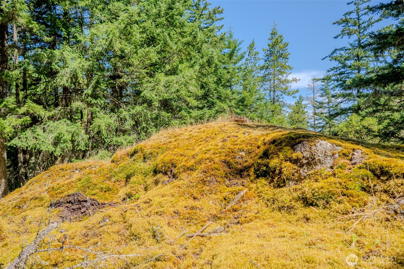 678 Swan Road Orcas Island, WA 98245 - Photo 27 of 39