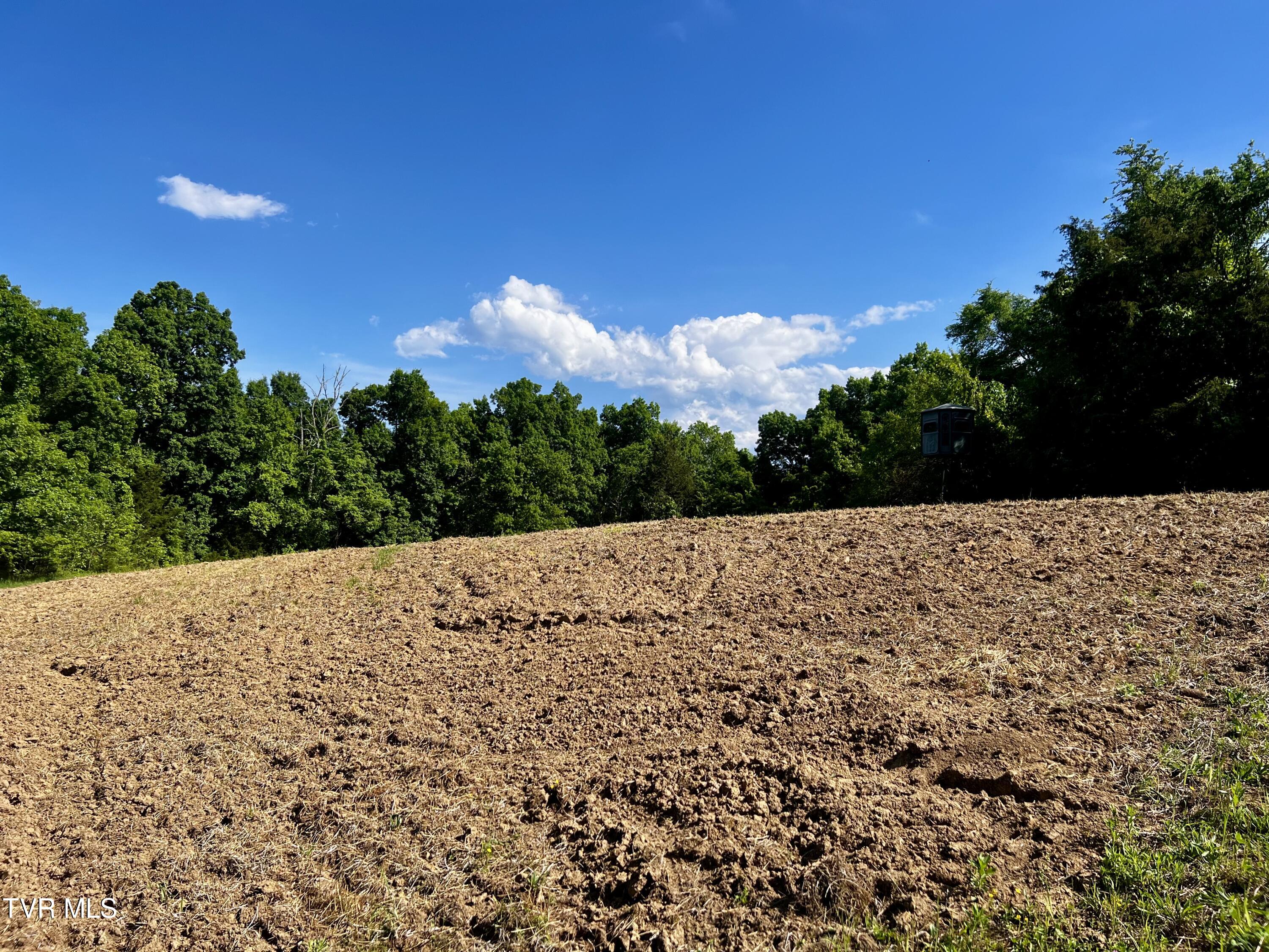 4045 South Mohawk Road Midway, TN 37809 - Photo 14 of 69 _Pic12 (6)